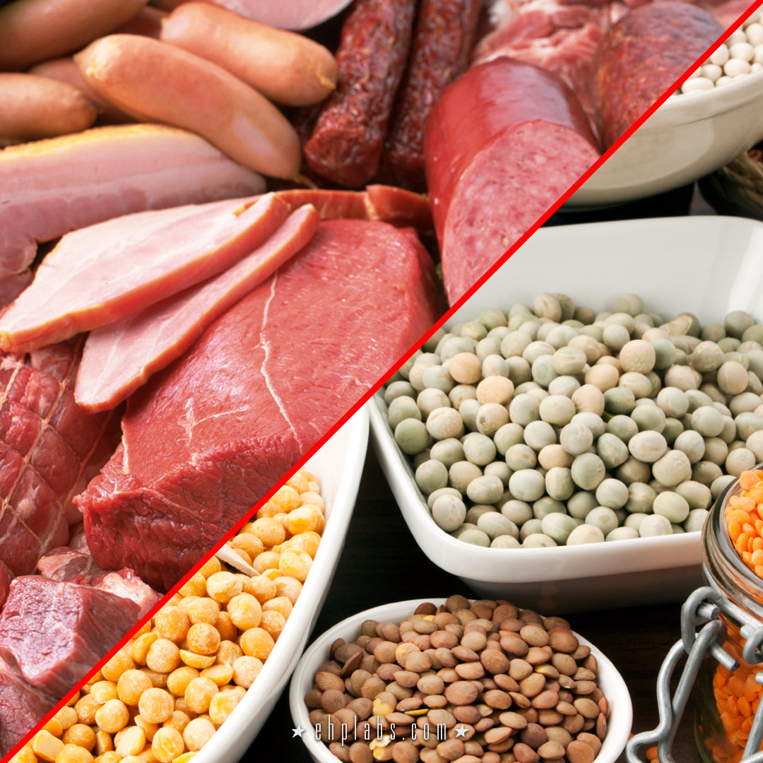 ANIMAL VS PLANT PROTEIN: WHICH IS BETTER?