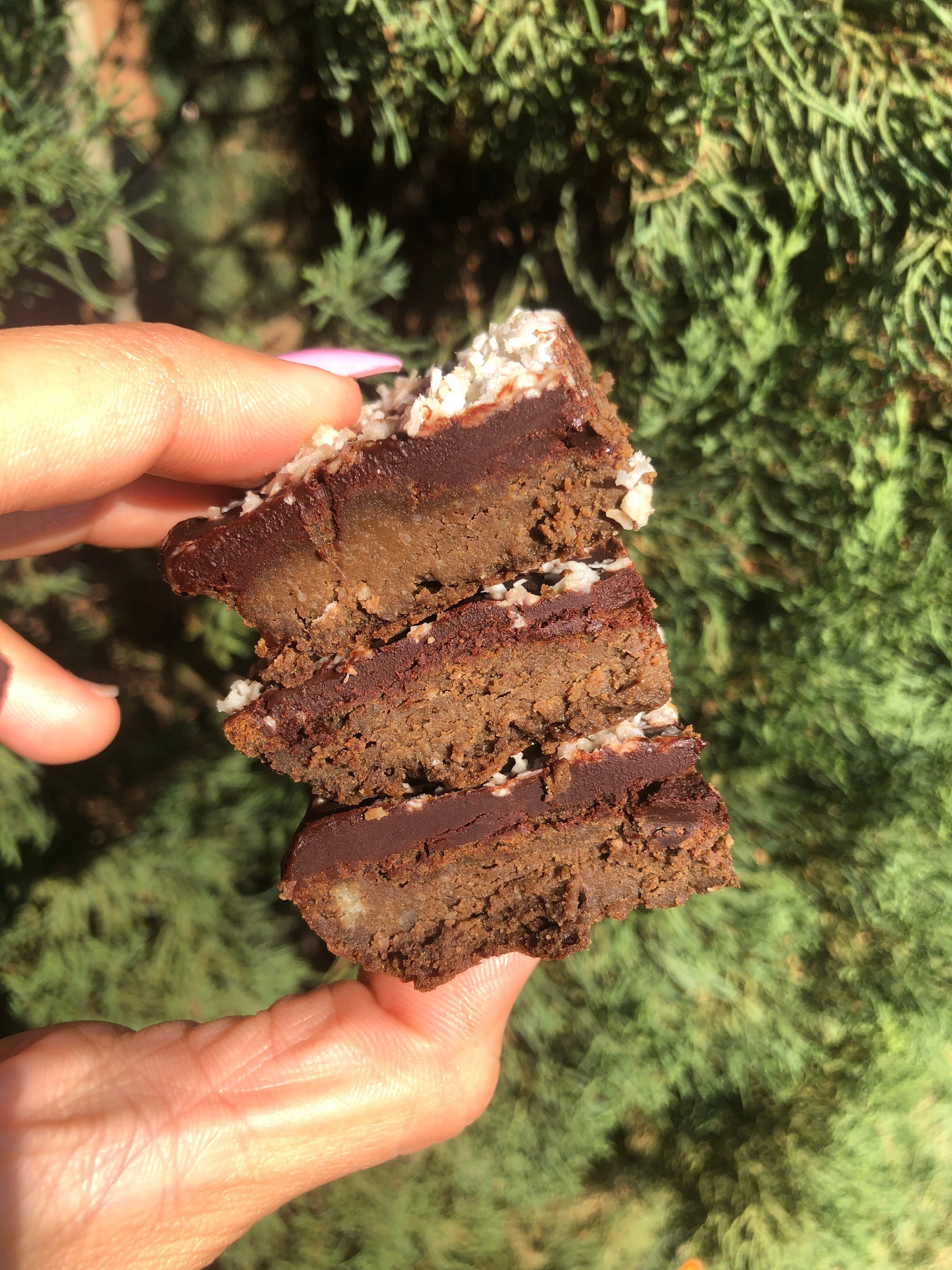 VEGAN FUDGE AVOCADO S’MORES PROTEIN BROWNIE WITH CHOCOLATE FROSTING-EHPlabs