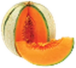 Wild Melon