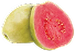 Guava Paradise